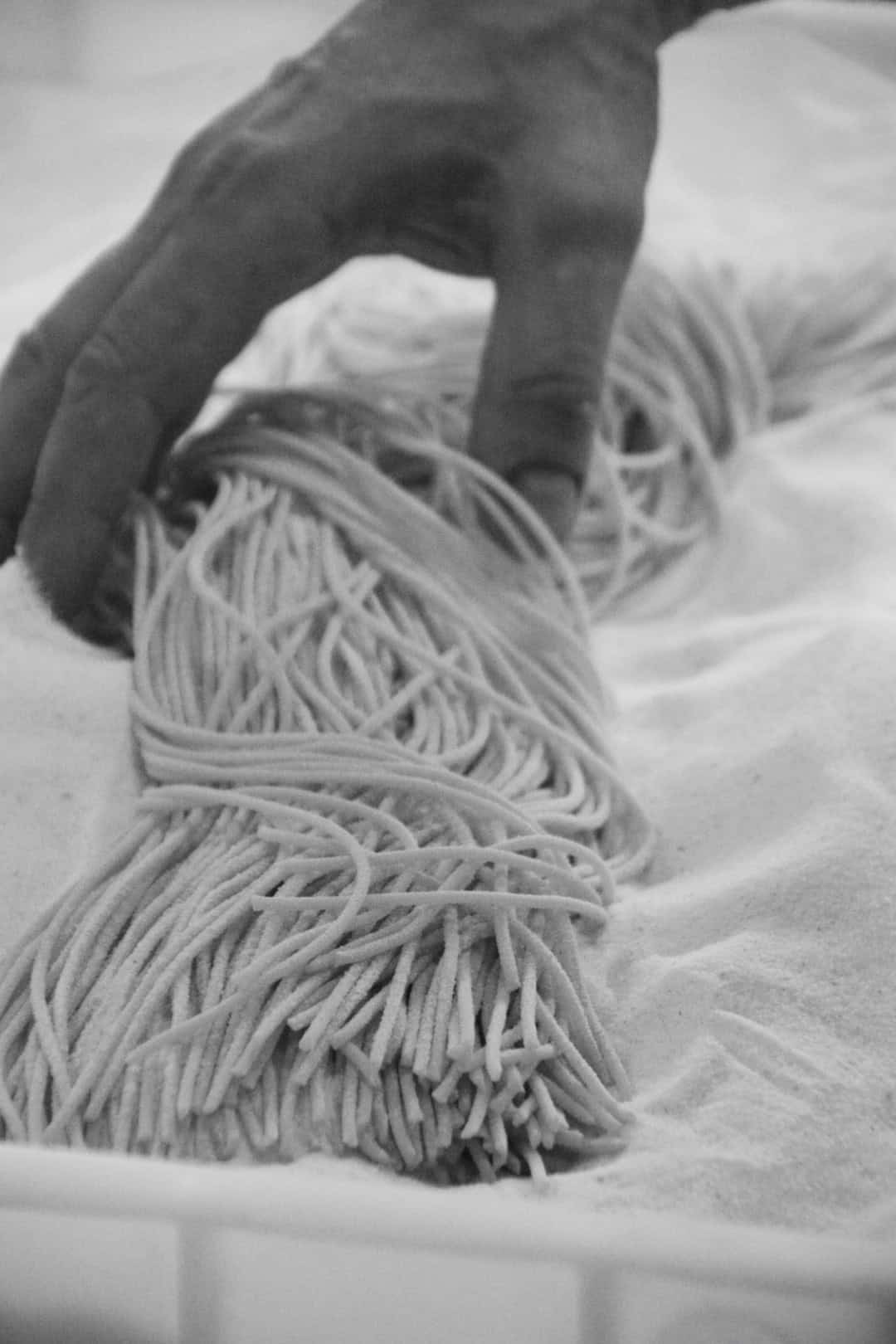 Bio Spaghetti - Image 3