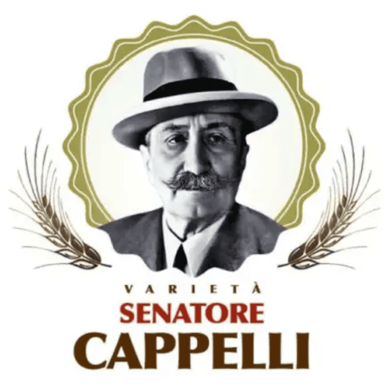 Senatore Cappelli Zertifizierung